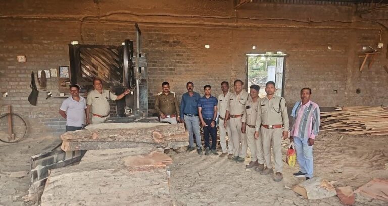 छत्तीसगढ़ : सक्ती वन परिक्षेत्र में अवैध लकड़ी भंडारण पर बड़ी कार्रवाई 
