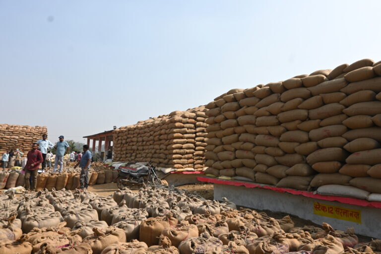 महासमुंद/ विशेष व्यवस्था के तहत 5 फरवरी को 1304 किसानों से 9882 मेट्रिक टन धान की खरीदी