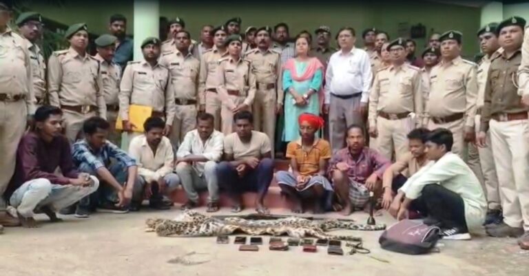 छत्तीसगढ़: तेंदुए की खाल की तस्करी पर वन विभाग की बड़ी कार्रवाई, 9 आरोपी गिरफ्तार