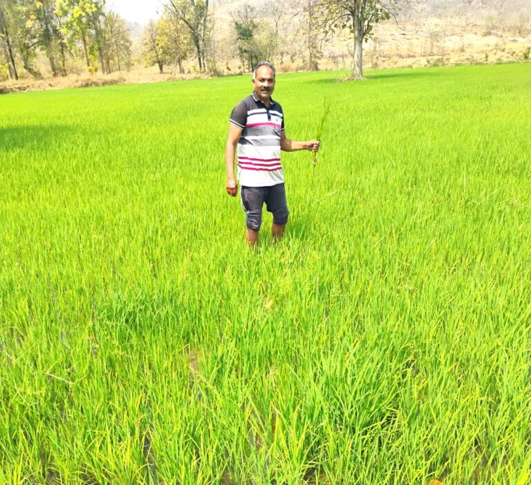 पिथौरा/वनाधिकार पत्र मिलने से बद्रिका कमल सिंह बने आत्मनिर्भर कृषक ट्रैक्टर खरीदा, बोर खुदवाया और अब लेने लगे है दो फसल