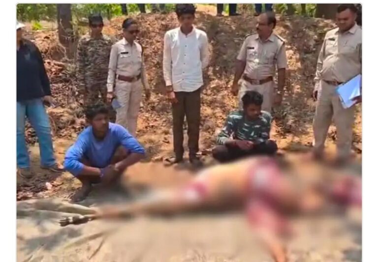 पिथौरा : नीलगाय मृत अवस्था में मिलने के संबंध में वन विभाग की कार्रवाई दो से पूछताछ जारी, छह अन्य संदिग्धों की तलाश