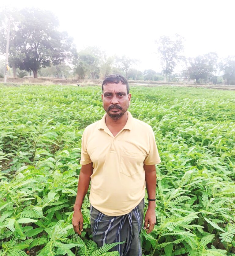 महासमुंद कृषक रूक्मण और गोकुल ने हरी खाद तकनीक अपनाकर भूमि की उर्वरता बढ़ाने की दिशा में सार्थक कदम उठाया