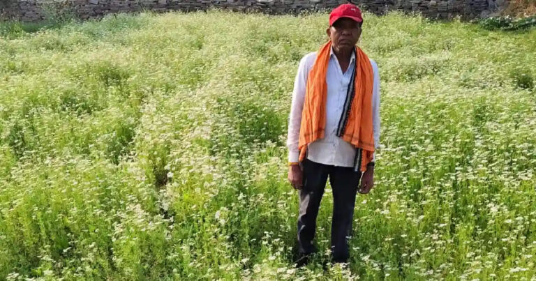 पारंपरिक खेती से आगे बढ़े रतिराम: उद्यानिकी विभाग की सलाह से साग-सब्जी और मसाला खेती में कमाया बंपर मुनाफा