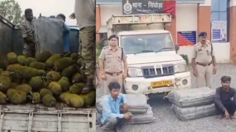 कटहल के नीचे छिपाकर हो रही थी गांजा तस्करी, पुलिस ने दो अंतरराज्यीय तस्करों को किया गिरफ्तार