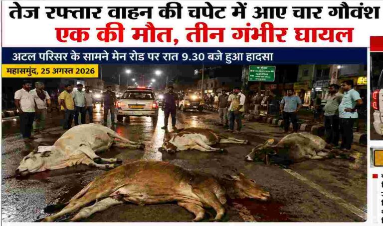 महासमुंद/तेज रफ्तार वाहन की चपेट में आए चार गौवंश, एक की मौत; तीन गंभीर